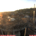 20_00-nest.jpg