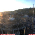 20_05-nest.jpg
