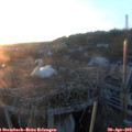 20_20-nest.jpg