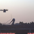 06_20-mast.jpg