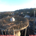 06_30-nest.jpg