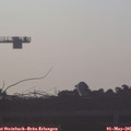 06_35-mast.jpg