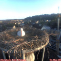 06_35-nest.jpg