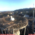 06_45-nest.jpg