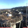 07_00-nest.jpg