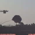 07_05-mast.jpg