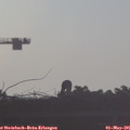 07_10-mast.jpg