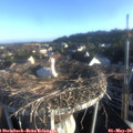 07_10-nest.jpg