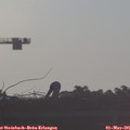 07_15-mast.jpg
