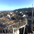 07_15-nest.jpg