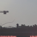07_20-mast.jpg