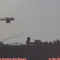 07_30-mast.jpg