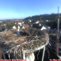 07_30-nest.jpg