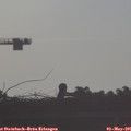 07_35-mast.jpg