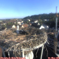 07_35-nest.jpg