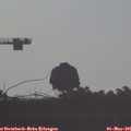 07_40-mast.jpg