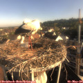07_45-nest.jpg
