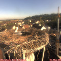 07_50-nest.jpg