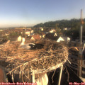 08_00-nest.jpg
