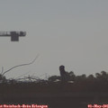 08_05-mast.jpg