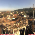 08_05-nest.jpg