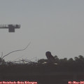 08_10-mast.jpg