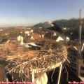 08_15-nest.jpg