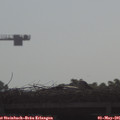 09_00-mast.jpg