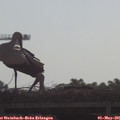 09_05-mast.jpg
