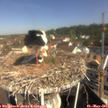 10_05-nest.jpg