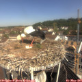10_25-nest.jpg