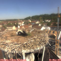 10_40-nest.jpg