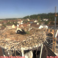 10_45-nest.jpg