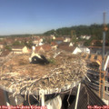 10_50-nest.jpg