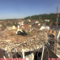 10_55-nest.jpg
