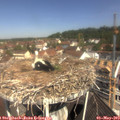 11_00-nest.jpg