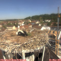 11_05-nest.jpg