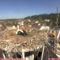 11_15-nest.jpg