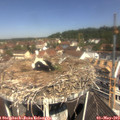 11_20-nest.jpg