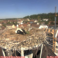 11_25-nest.jpg