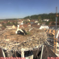 11_30-nest.jpg