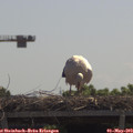 11_35-mast.jpg