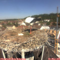 11_35-nest.jpg