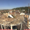 11_50-nest.jpg