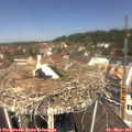 12_05-nest.jpg