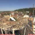 12_10-nest.jpg