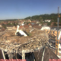 12_15-nest.jpg