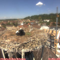 12_35-nest.jpg