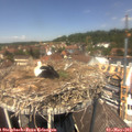 13_05-nest.jpg