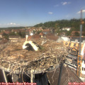 13_10-nest.jpg
